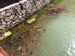-黄花溪