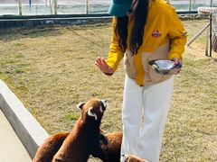 -水上乐园·欢乐世界