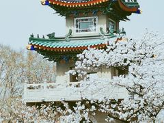-鸡鸣寺