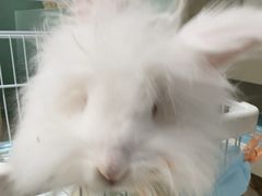 -怪兽屋·羊驼·猫咖·狗咖(俊华广场店)