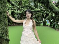 -洛阳白云山景区