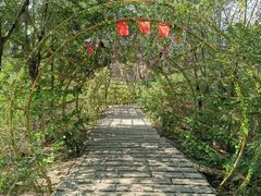 -西青郊野公园