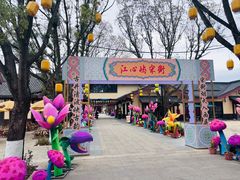 -江心屿景区