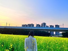 -光明小镇欢乐田园