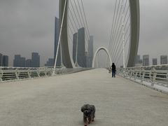 -南京眼步行桥