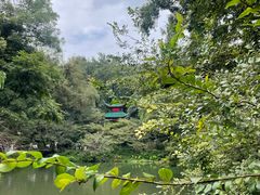 -岳麓山风景名胜区