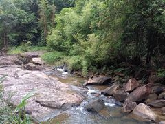 -广州白江湖森林公园