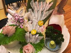 -一本钓鲔鱼屋