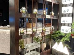 -芸山季·云南野生菌火锅(人民广场来福士店)