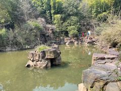 -穹窿山景区