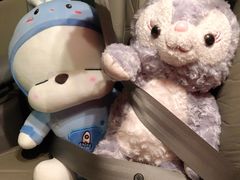 -PAWTOY爪e玩偶店(天兴罗斯福店)