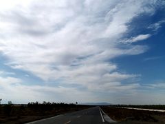 -金塔沙漠胡杨林景区