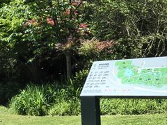 -顾村公园