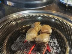 黄蚬-丹东丛炟海鲜烧烤(江艺路店)