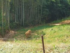 -杭州野生动物世界