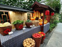 -春满园生态餐厅(南宫路店)