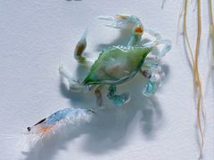 -上海科技馆-探索之光
