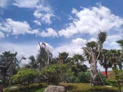 -八婆婆烧仙草(曾厝垵店)