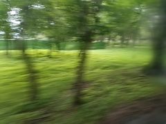 -新疆那拉提国家旅游度假区