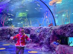 -沈阳海洋探索中心