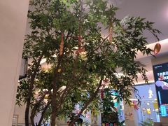 -Aqua Oasis 水天堂(太湖中心mall店)