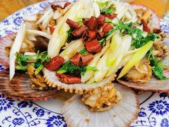 油泼扇贝-1937青岛老味道·青岛菜(大鲍岛栈桥店)