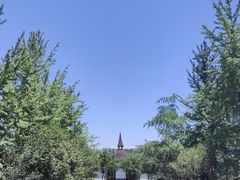 -成都南湖公园