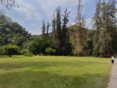 -南宁良凤江国家森林公园