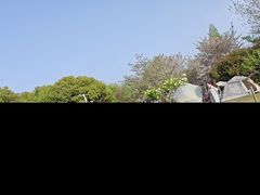 -羊山湖公园