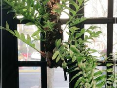 -一尺花园(安和花园店)