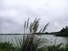 -南湖湿地公园