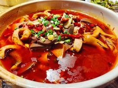 新派毛血旺-乐乐大排档(黄陂店)