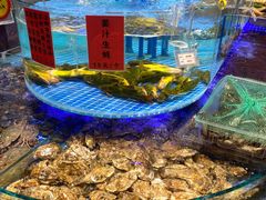 -潍城老菜馆·地标美食