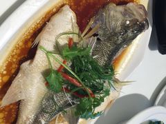 iphone_upload_pic-至潮餐厅精致粤菜·活鲈鱼·走地鸡(珠江新城店)