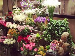 android_upload_pic-香港尖沙咀凯悦酒店