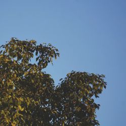 -中国福利会国际和平妇幼保健院(徐汇院区)