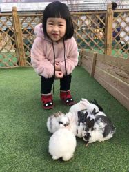 -萌宠亲子动物乐园(槐房万达店)