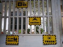 -小洲村