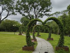 -莲花山公园