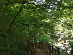 -青峰峡国家森林公园