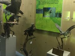 -陕西自然博物馆