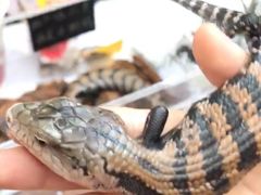 -木渎影视城