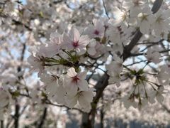 -龙美术馆(西岸馆)