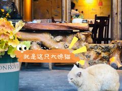 -炊烟餐厅