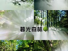 -国家植物园