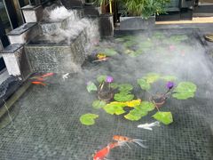 -云庭汇·粤菜海鲜(东盟盛天地店)