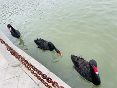 -琅岐红光湖公园