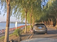 -丁香湖公园