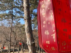 -承德避暑山庄景区