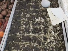 -雨花斋素食餐厅(绿塘路店)